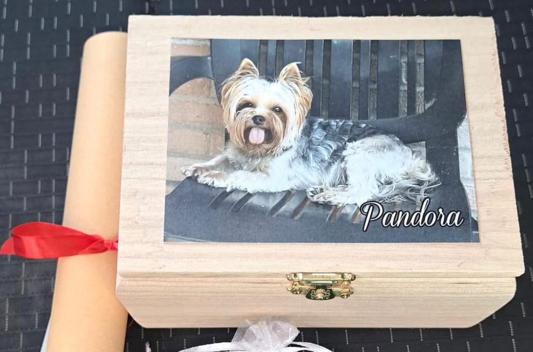 Il cofanetto in legno con la foto di Pandora, una yorkshire