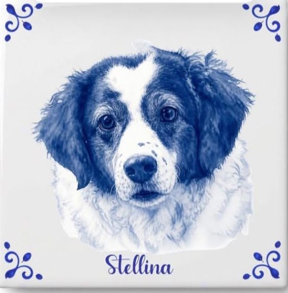 Una piastrella con il ritratto di Stellina, una cagnolina bianca e blu